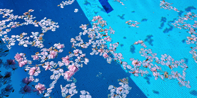 hockney