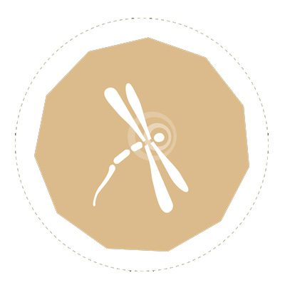 BioFootWear®
